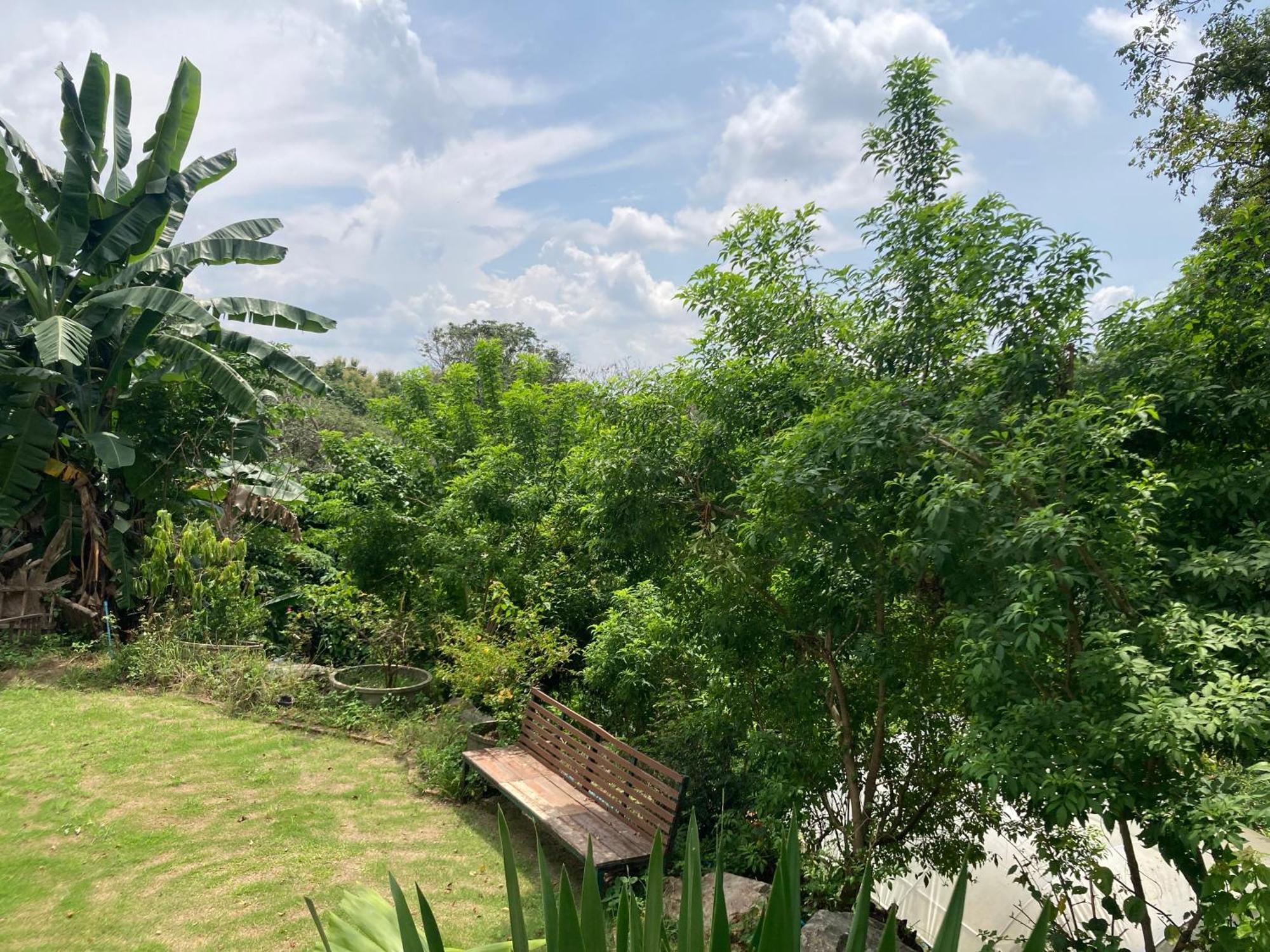 Maesa Greenery Hill Sha Mae Rim Ngoại thất bức ảnh