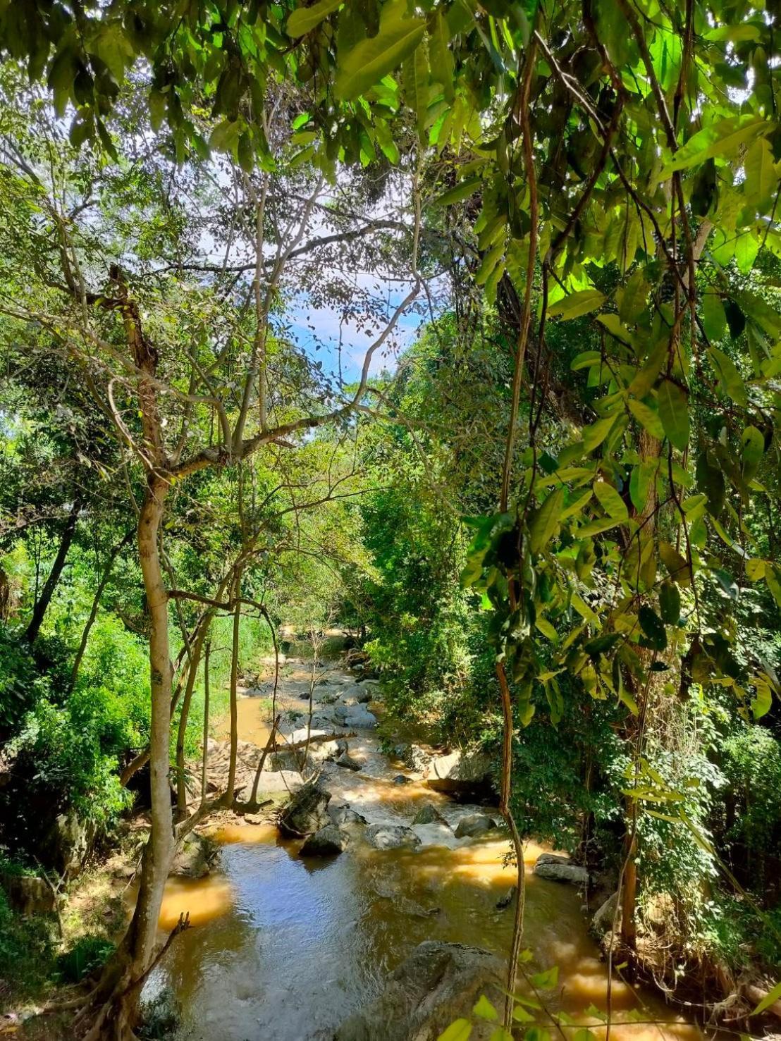 Maesa Greenery Hill Sha Mae Rim Ngoại thất bức ảnh