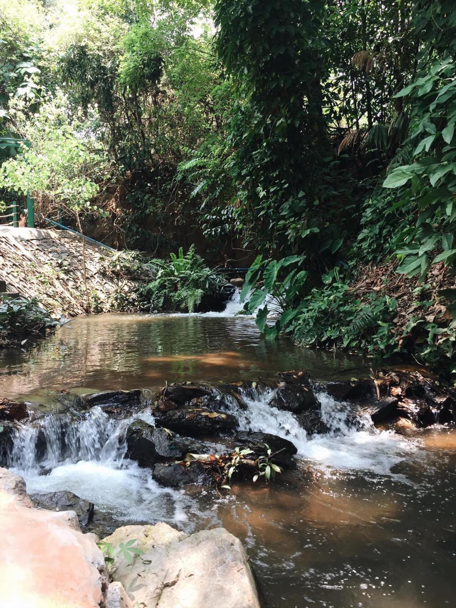 Maesa Greenery Hill Sha Mae Rim Ngoại thất bức ảnh