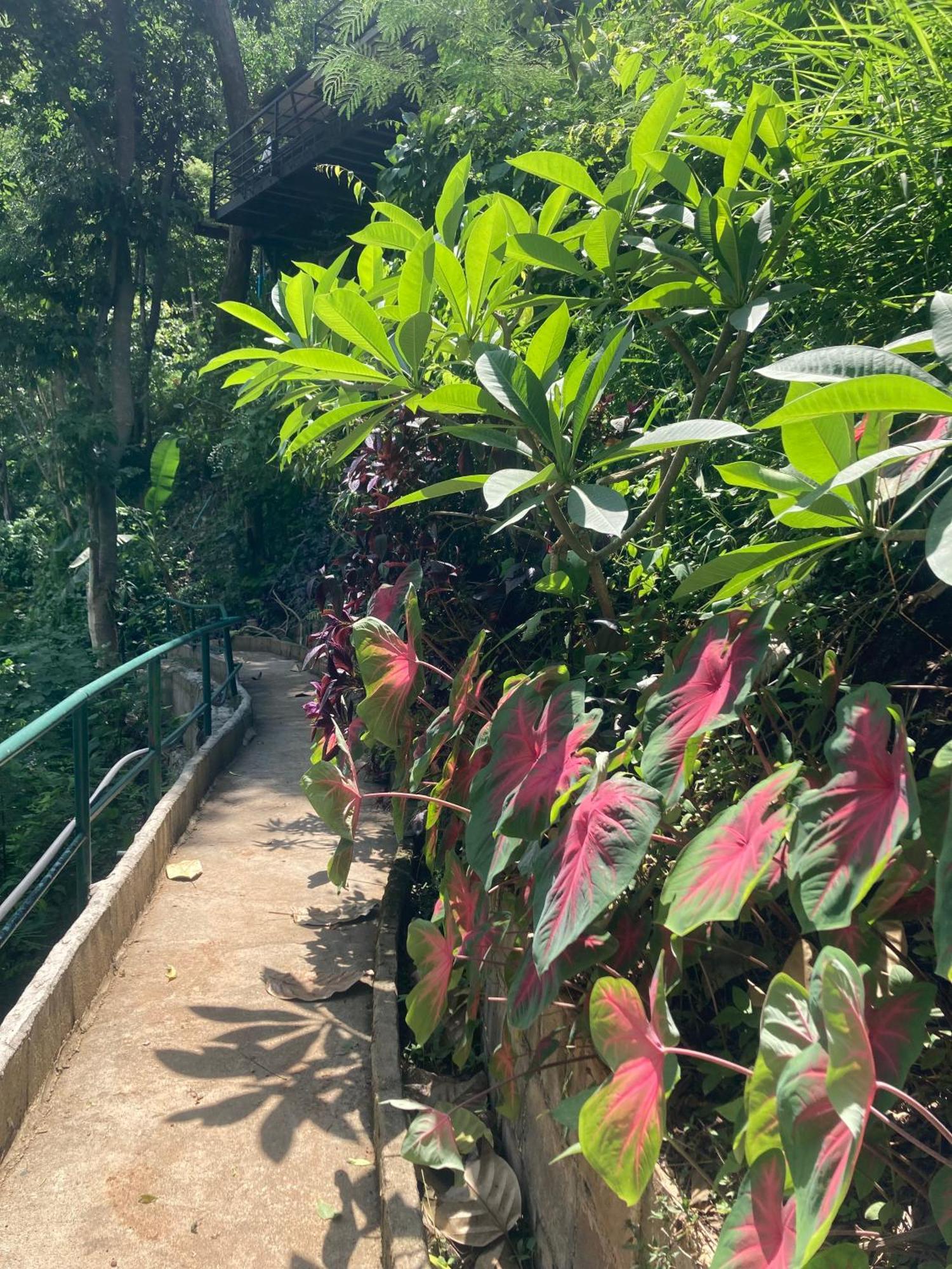 Maesa Greenery Hill Sha Mae Rim Ngoại thất bức ảnh